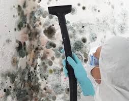 Environmental Consulting for Mold Prevention in Crittenden, KY